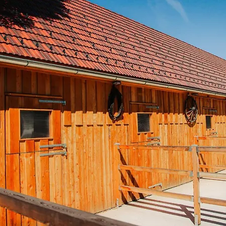 Bed & Breakfast Amd Stang bei Hatzendorf