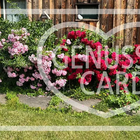 ベッド・アンド・ブレックファスト Amd *