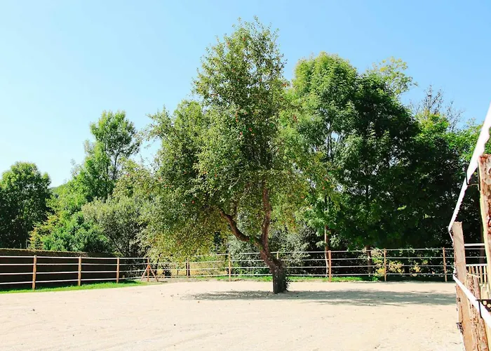 Amd ベッド・アンド・ブレックファスト