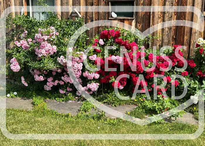 ベッド・アンド・ブレックファスト Amd *